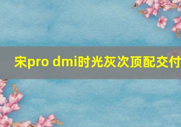 宋pro dmi时光灰次顶配交付